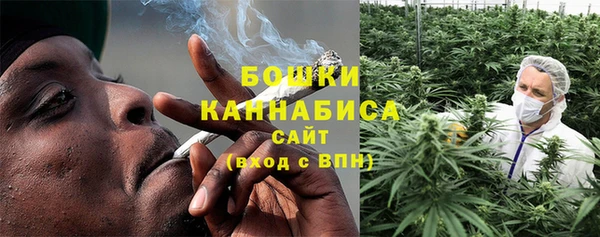 PSILOCYBIN Белоозёрский
