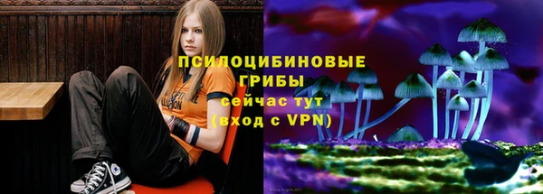PSILOCYBIN Белоозёрский