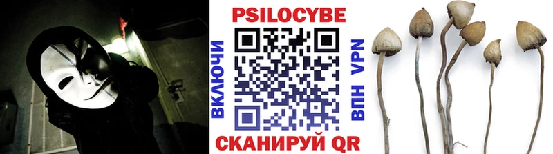 Псилоцибиновые грибы MAGIC MUSHROOMS  Чайковский 